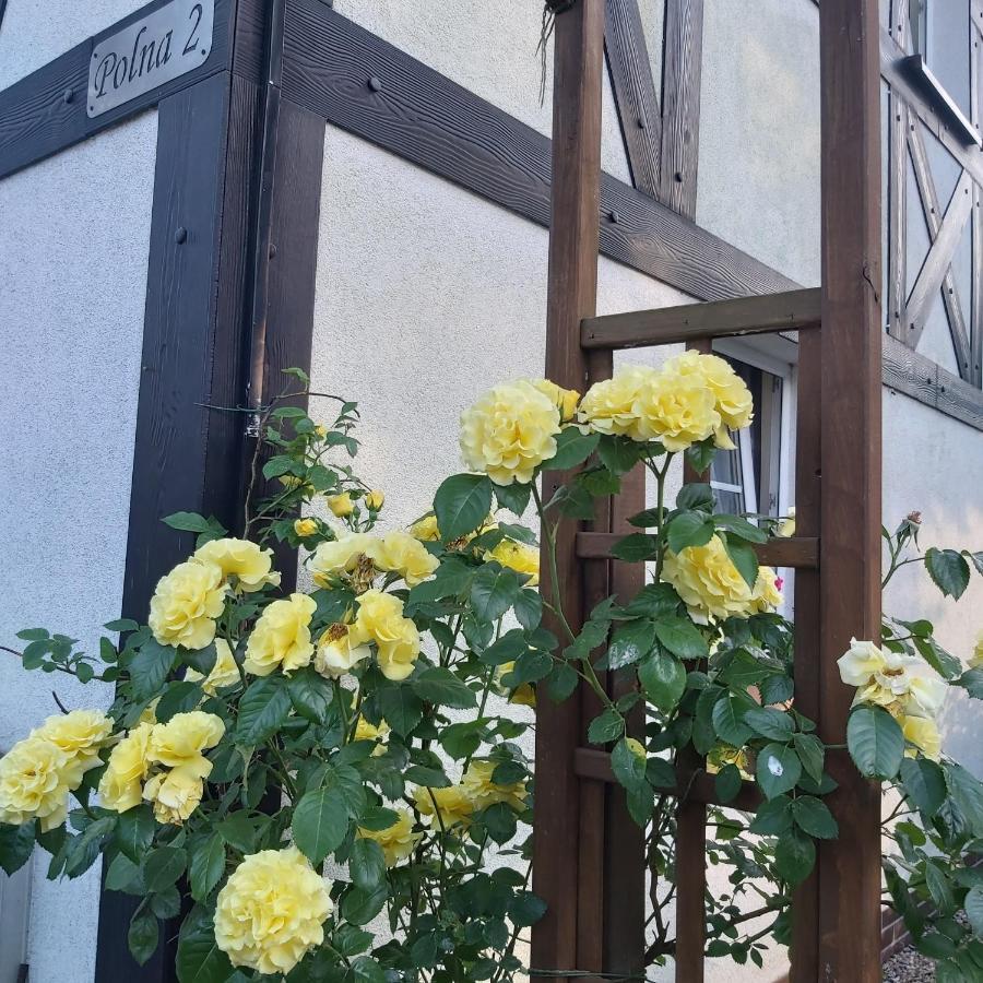 Nadmorskie Apartamenty Ustka Exterior foto